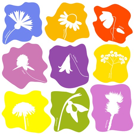 Wild flowers icons set. Vector illustration in eps8 format.のイラスト素材