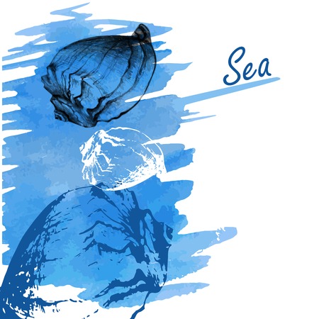 Hand drawn seashells on a watercolor sea background. Vector illustration.のイラスト素材