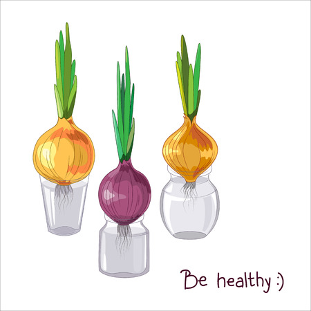 Spring onions in glass jars, healthy food, spring concept.のイラスト素材