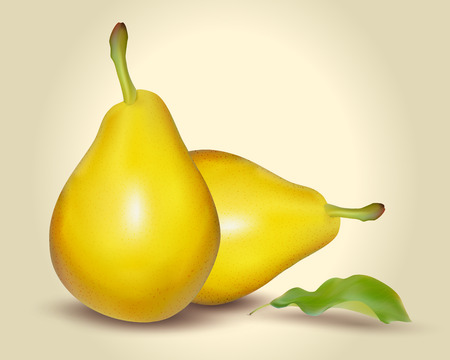 Illustration of a fresh yellow pear with green leaf.のイラスト素材