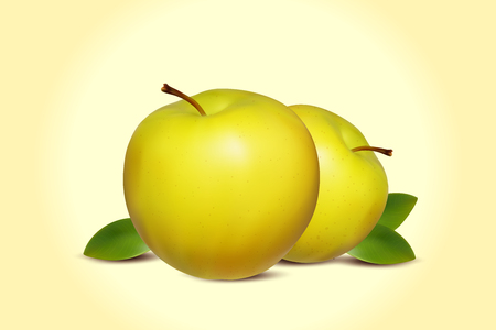 Green Apples Banner. Two Realistic Apples with Green Leaf. Background with Fresh Green Apples. Yellow Apple.のイラスト素材