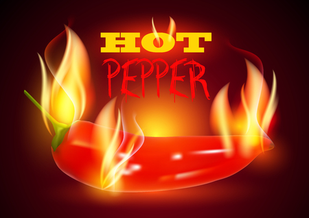 Hot Chili Pepper in Fire. Flaming Hot Pepper. Burning Red Chili Pepper. Spicy Hot Pepper.のイラスト素材