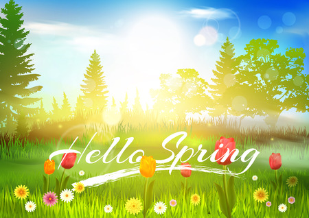 Spring Backgroundのイラスト素材