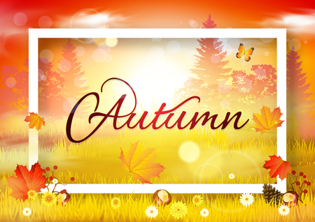 Autumn Backgroundのイラスト素材