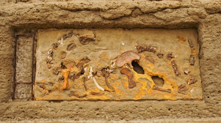 Long shot of something that looks like dinosaur or fossil bones Placed in a wall at Puerto Pirmides in Pennsula Valds  s.の写真素材