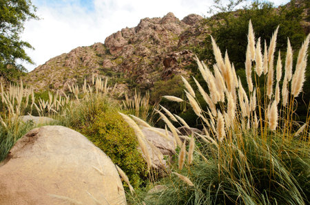 Impressions of the Cascadas del rio Colorado Trek close to Cafayate in Argentina, South Americaの写真素材