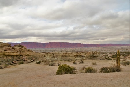 Long shot of the nature reserve Ischigualasto also called Valle de la Luna in the area San Juan in Argentina, South Americaの写真素材
