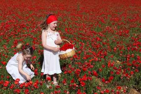 healthy children picking flowers outdoorsの写真素材