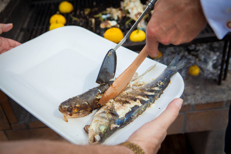 cooked organic sea bass servingの写真素材
