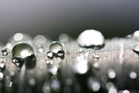 water on leafの写真素材