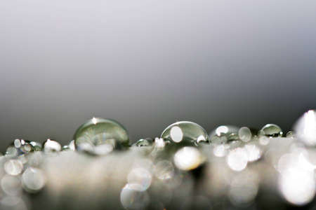 water on leafの写真素材