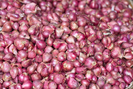 onionの写真素材