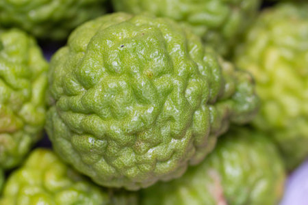 bergamotの写真素材