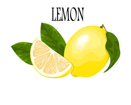 lemon and sliced lemon with leaves isolate on white background, vector illustrationのイラスト素材