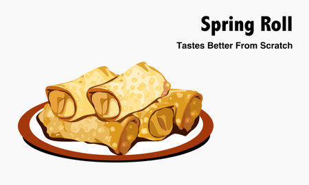 spring roll, isolated fried spring roll on the dish with text and white background, hand drawing close up realistic vector illustration.のイラスト素材