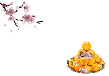Set of oranges for cerebrate or praying with peach blossom decoration on white background. Close up handrawing vector illustration.のイラスト素材