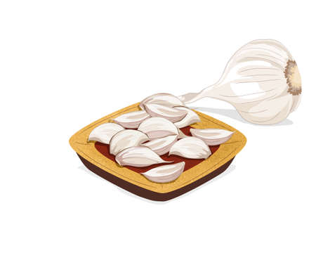 Garlic bulb and a portion of garlic with cloves in a yellow plate on white background. Close up drawing vector illustration. Isolated garlic seasoning for cooking and traditional medicine.のイラスト素材