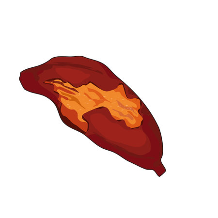 Isolated Yaki Imo, roasted yellow sweet potato on white background. Food ingredients vector illustration. Close up authentic Yaki Imo vector drawing. Authentic anime foodのイラスト素材