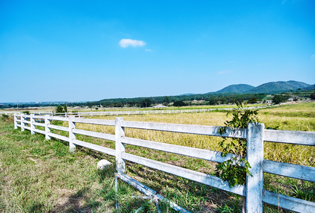 White fence and ranch farmhouse Idyllic rural scenery landscape in nature with hill backgroundの写真素材