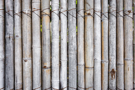 Old bamboo fence in the garden, Cozy decorating idea for patio, balcony for gardening.の写真素材