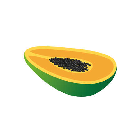 Sliced Papaya Isometric Flat Icon Isolated in Whiteのイラスト素材