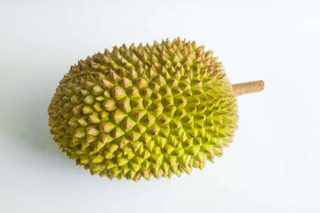 King Fruit Durian Montong Indonesian Extreme Fruit Durio Zibethinusの写真素材