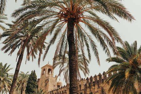 White ancient village on top of a mountain in Spain.の写真素材