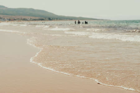 Panoramic beach full of algae, Andalusia, Spain.の写真素材