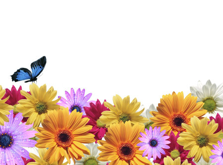 Background of flowersの写真素材