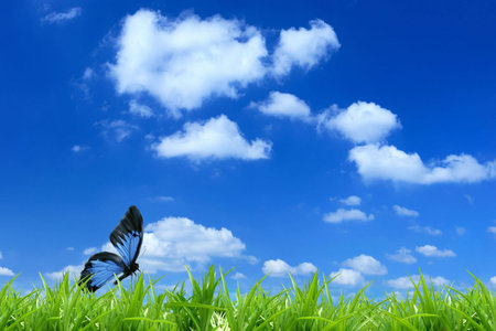 Nature backgroundの写真素材