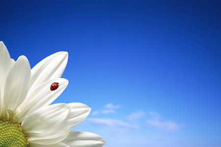 Nature backgroundの写真素材