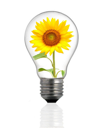Ecological lamp