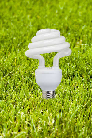 Eco bulb: lower part lamp consumption in a field of grass.の写真素材