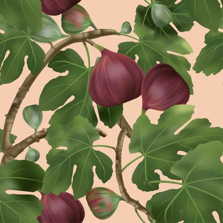 イチジクの木の写真 イラスト素材一覧 13 667件 ストックフォトのamanaimages Plus