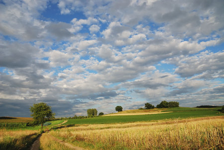 Sky above a Bavarian landscape