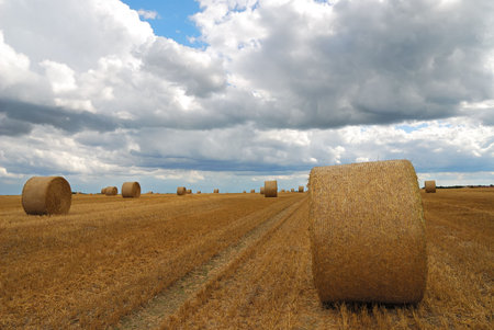 Bavarian landscape with bales of straw