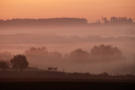 Autumn landscape with sunrise and fogの写真素材