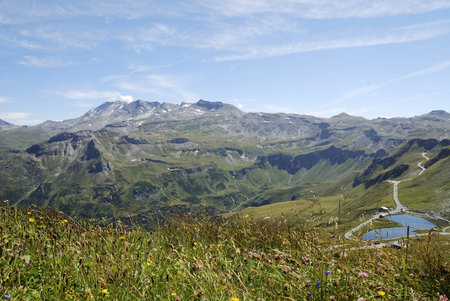 Flower meadow in Austria at the Grossglockner Hochalpenstrasse (high alpine road).の写真素材