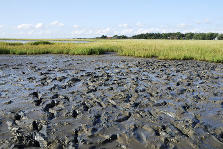The Wadden Sea in Schobull (Germany)