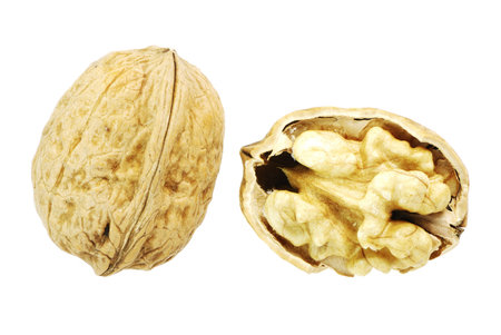 Macro of an isolated walnut
