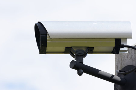 Security monitoring with video surveillance cameras
