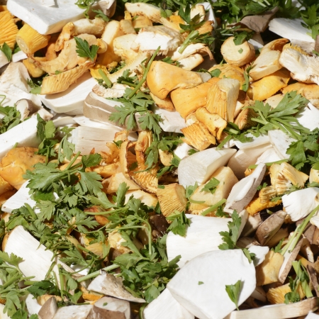 Various sliced mushrooms with parlsey and other herbage sold at the marketの写真素材