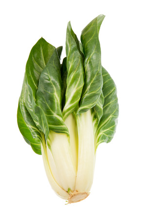 Healthy vegetables - isolated fresh mangold plantの写真素材