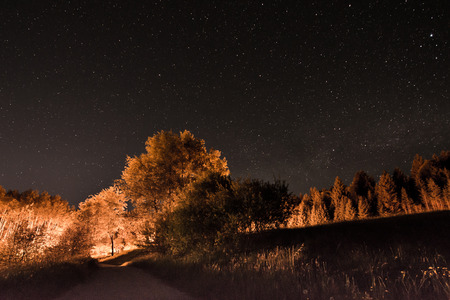 Landscape with illuminated trees an night sky with starsの写真素材