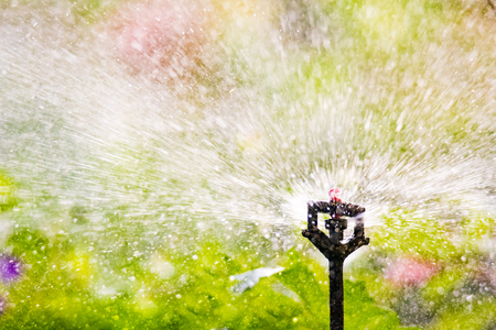 Plant and garden irrigation with an automatic watering systemの写真素材