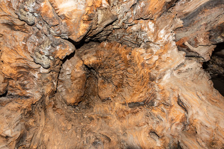 Roots of an old weathered tree trunk