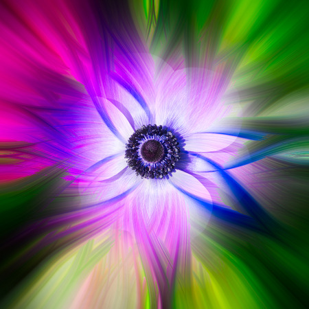 Colorful abstract twirl effect background with flowerの写真素材