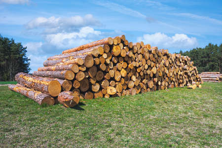 Landsape wiht a pile of wood seen in Bavariaの写真素材