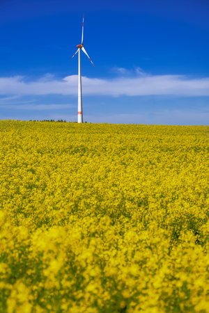 Alternative energy creation with wind power