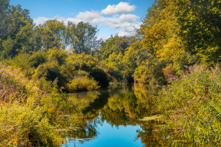 Autumn landscape with an idyllic lake in Bavariaの写真素材